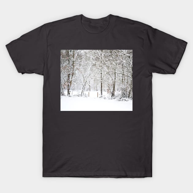 Snowfall T-Shirt by CindersRose